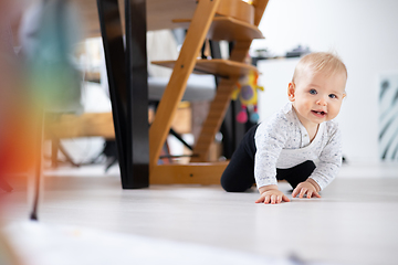 Image showing Cute infant baby boy crawling under dining room table at home. Baby playing at home