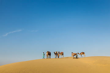 Image showing Three cameleers (camel drivers) with camels in dunes of Thar des