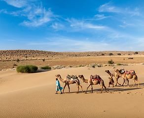 Image showing Two cameleers with camels in dunes of Thar deser