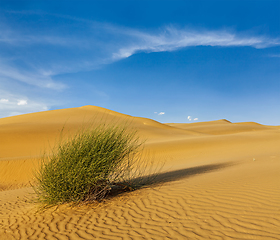 Image showing Dunes of Thar Desert, Rajasthan, India