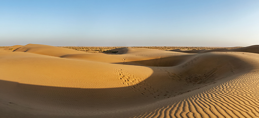 Image showing Panorama of dunes in Thar Desert, Rajasthan, India