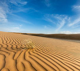 Image showing Dunes of Thar Desert, Rajasthan, India