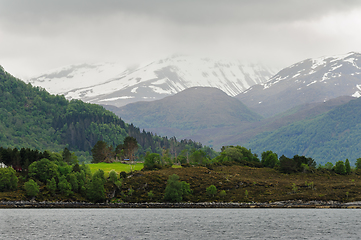 Image showing snow-capped mountains with green trees and green fields