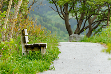 Image showing bench by footpath between trees