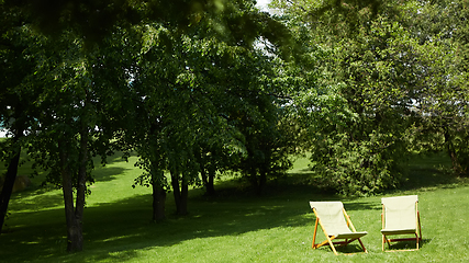 Image showing Rest chairs in the garden. Resort concept