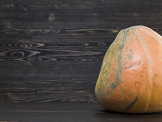 Image showing ripe pumpkin on the kitchen