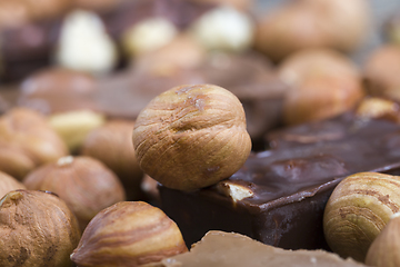 Image showing hazelnuts inside chocolate