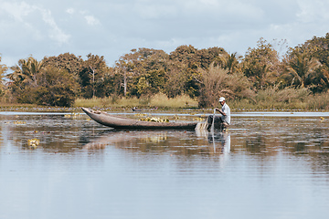 Image showing Native Malagasy fishermen fishing on river, Madagascar