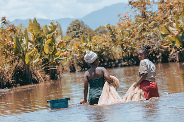 Image showing Native Malagasy fishermen woman fishing on river, Madagascar