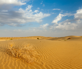 Image showing Dunes of Thar Desert, Rajasthan, India