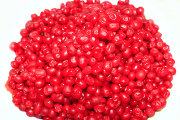 Image showing heap of red and ripe berries of schisandra isolated