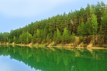 Image showing lake in the forest