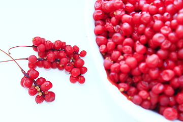 Image showing full plate of red ripe schisandra isolated