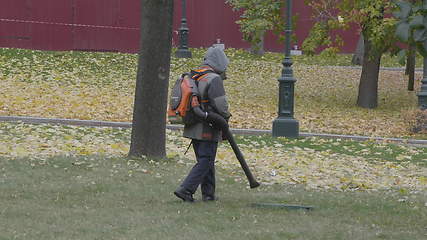 Image showing Working blows autumn leaves vacuum blower