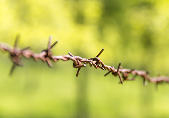 Image showing rusty barbwire detail