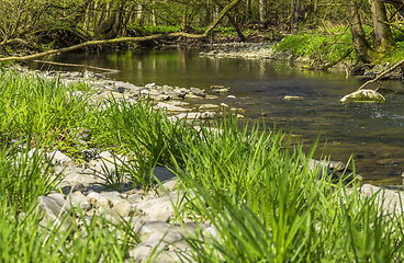 Image showing waterside scenery at spring time