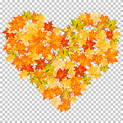 Image showing Fall (Autumn) Maple Background