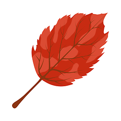 Image showing Autumn Birch Leaf