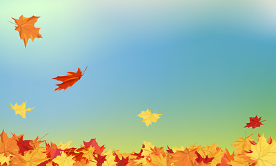 Image showing Fall (Autumn) Background 