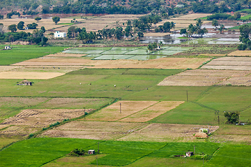 Image showing Aeiral view of Indian countryside with rice paddies, Tamil Nadu,