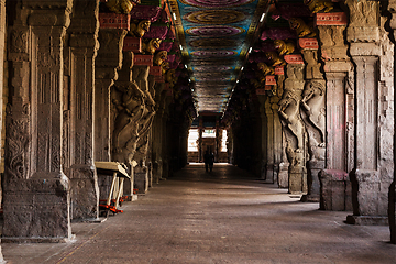 Image showing Sri Meenakshi Temple