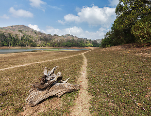 Image showing Periyar wildlife sanctuary, India