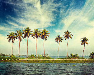 Image showing Kerala backwaters