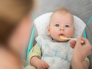 Image showing Mother spoon feeding her baby boy infant child in baby chair with fruit puree. Baby solid food introduction concept.