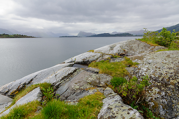 Image showing grass that grows on rocks by the sea