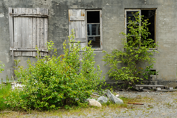 Image showing old ruined window in brick wall with green trees