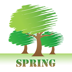 Image showing Spring Trees Indicates Nature Woods And Springtime