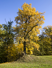 Image showing landscape of beautiful real nature