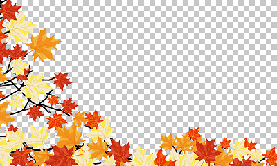 Image showing Fall (Autumn) Maple Background