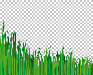 Image showing grass background