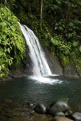 Image showing Guadeloupe, French Antilles