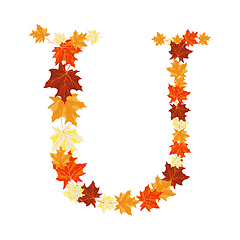 Image showing Autumn Maples Leaves Letter