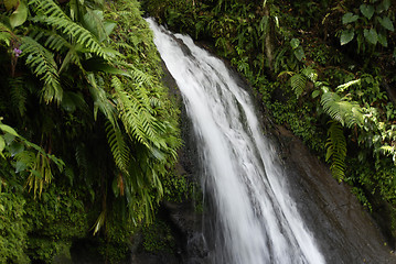 Image showing Guadeloupe, French Antilles