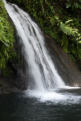 Image showing Guadeloupe, French Antilles