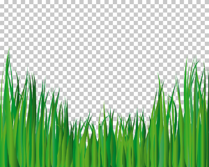 Image showing grass background