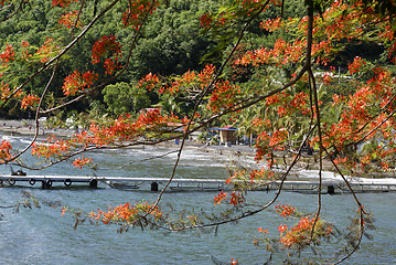 Image showing Guadeloupe, French Antilles