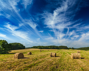 Image showing Hay bales on field