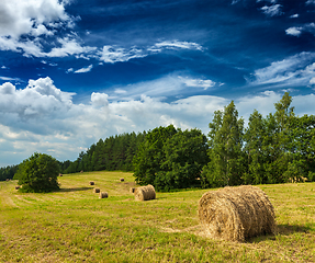 Image showing Hay bales on field