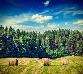 Image showing Hay bales on field