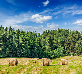 Image showing Hay bales on field