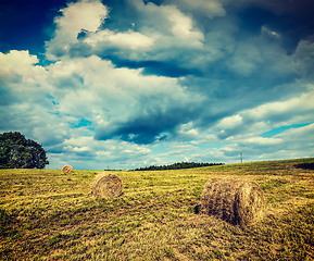 Image showing Hay bales on field