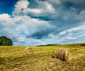 Image showing Hay bales on field