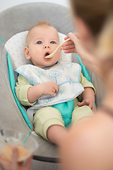 Image showing Mother spoon feeding her baby boy infant child in baby chair with fruit puree. Baby solid food introduction concept.