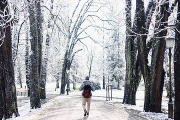 Image showing Rear view of sporty father carrying his infant son wearing winter jumpsuit and cap in backpack carrier walking in city park in winter