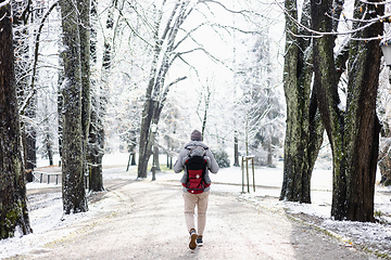 Image showing Rear view of sporty father carrying his infant son wearing winter jumpsuit and cap in backpack carrier walking in city park in winter