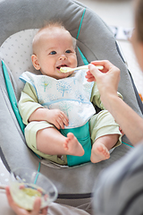 Image showing Mother spoon feeding her baby boy infant child in baby chair with fruit puree. Baby solid food introduction concept.